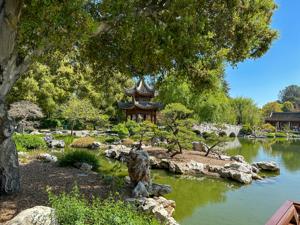 Huntington Library And Botanical Gardens 10